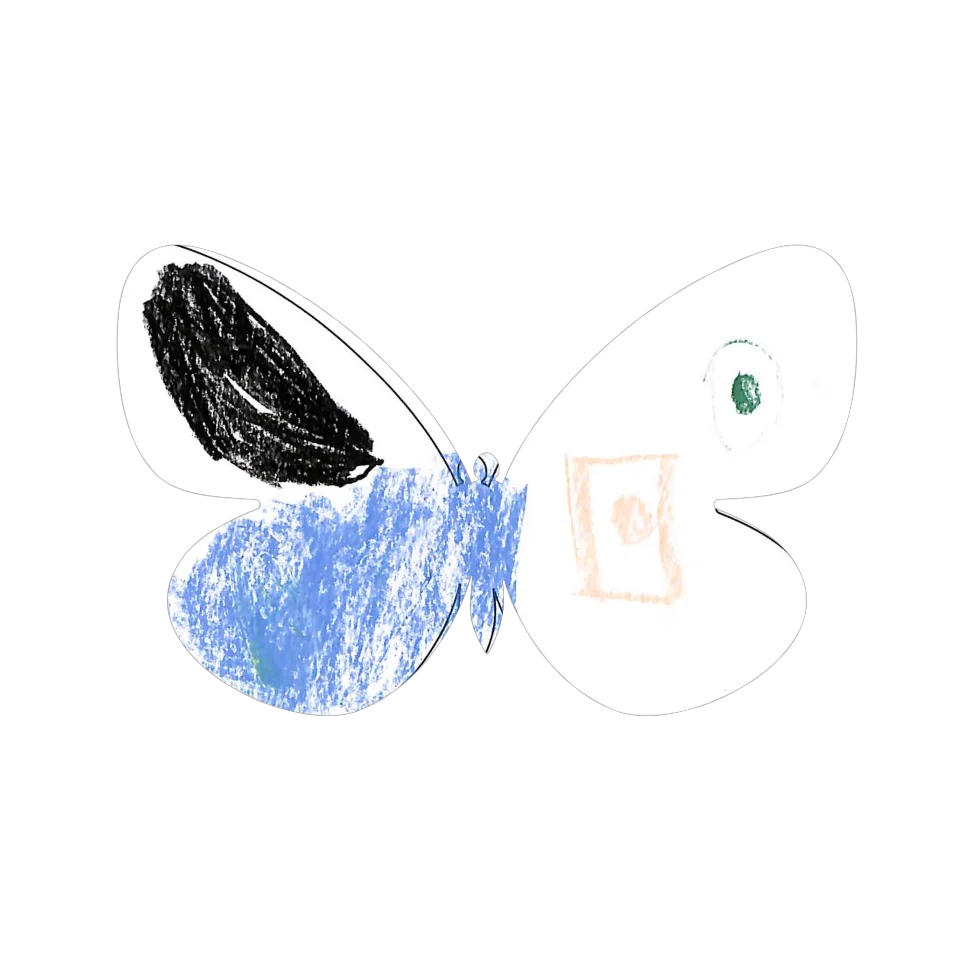 Original Butterfly Image