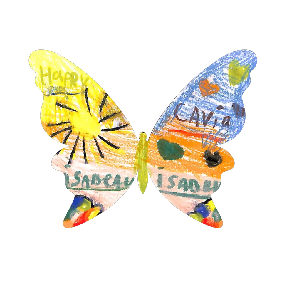 Original Butterfly Image