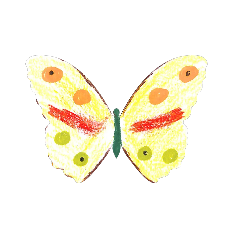 Original Butterfly Image