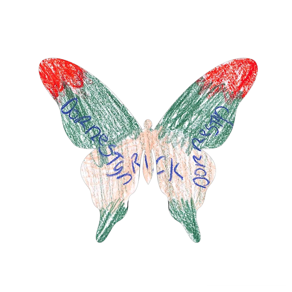 Original Butterfly Image