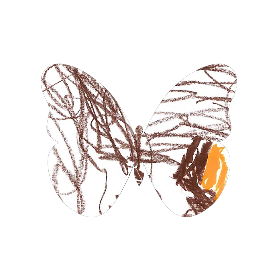 Original Butterfly Image