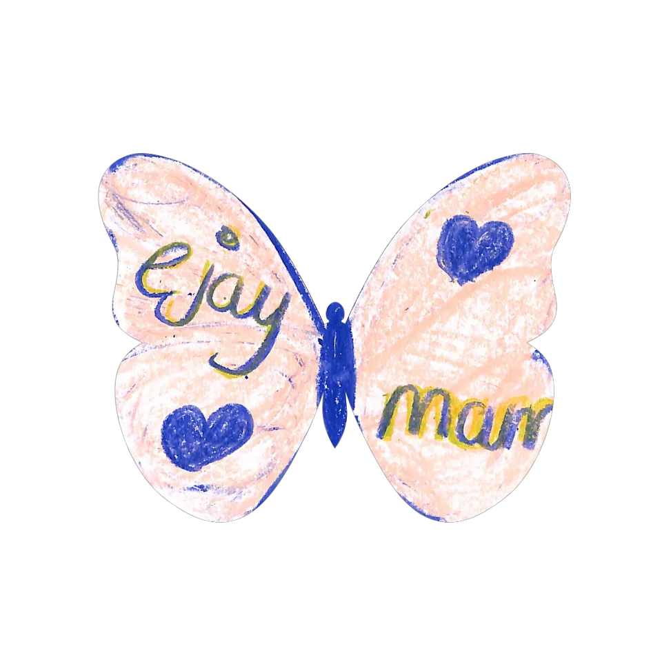 Original Butterfly Image