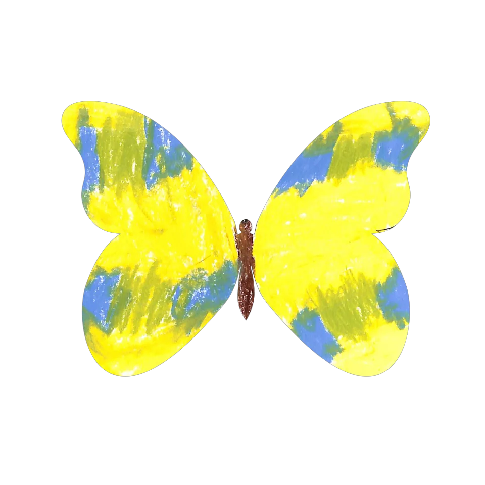 Original Butterfly Image