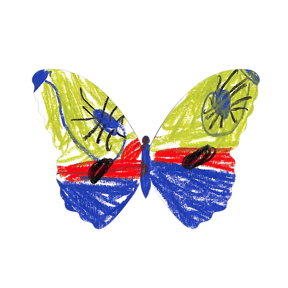 Original Butterfly Image