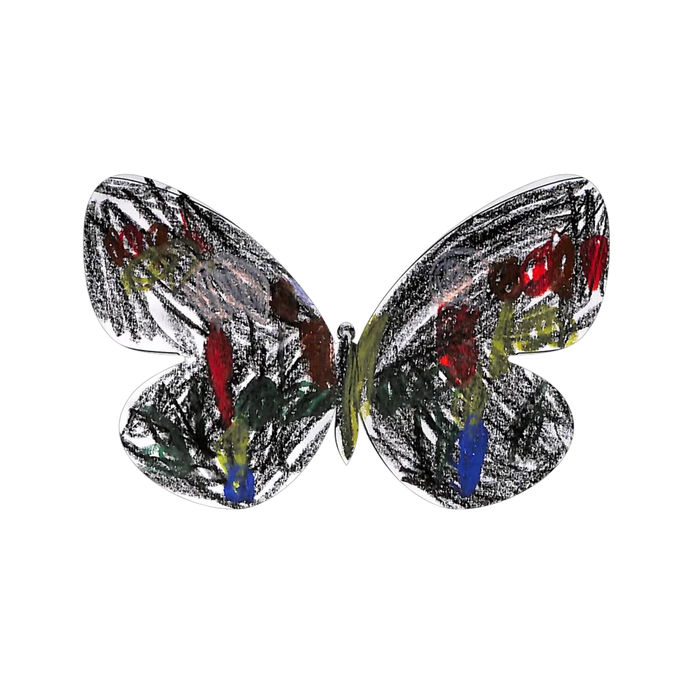 Original Butterfly Image