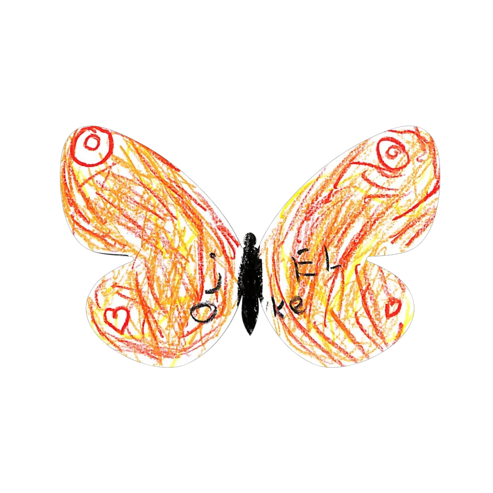 Original Butterfly Image