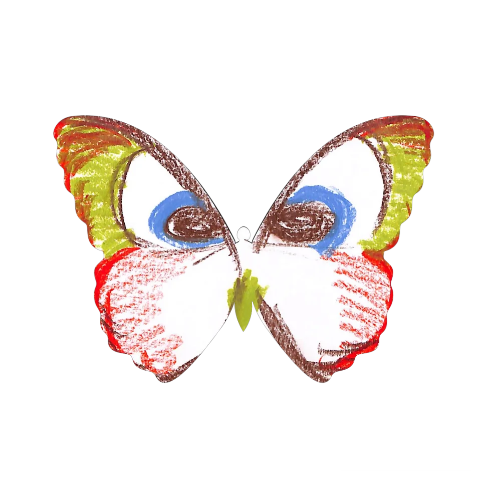 Original Butterfly Image