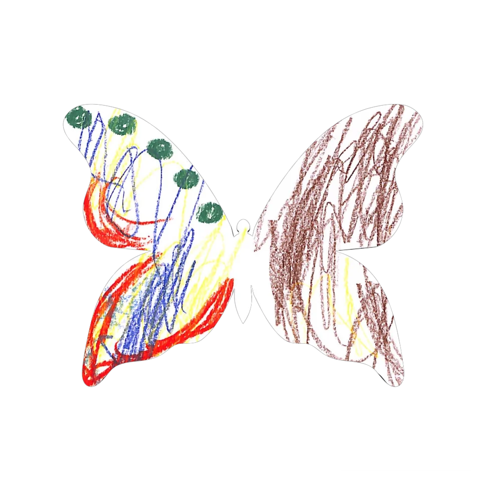 Original Butterfly Image