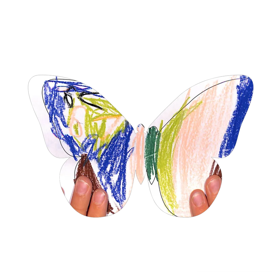 Original Butterfly Image