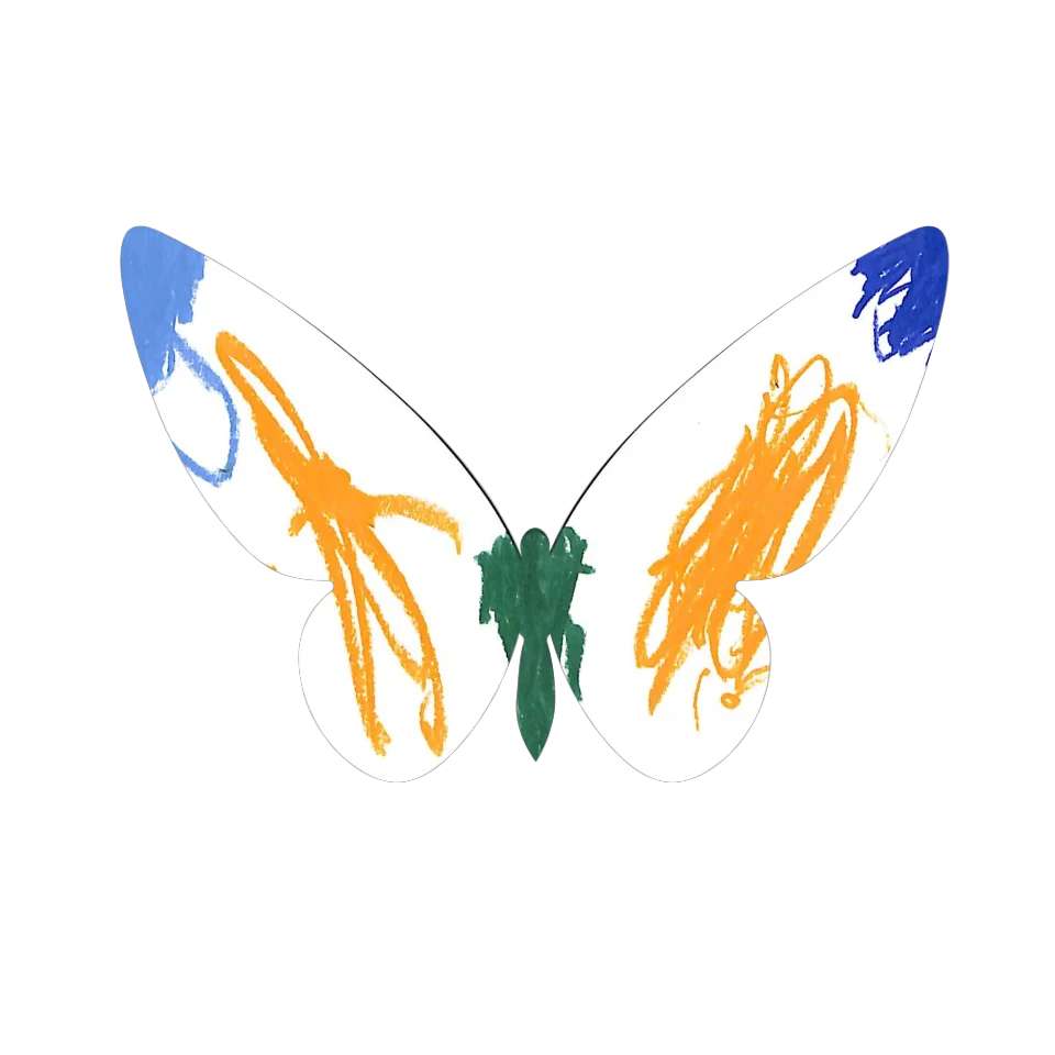Original Butterfly Image