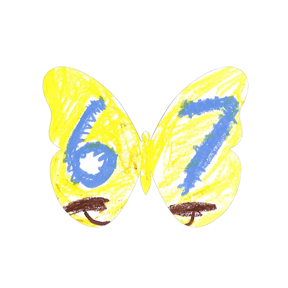 Original Butterfly Image
