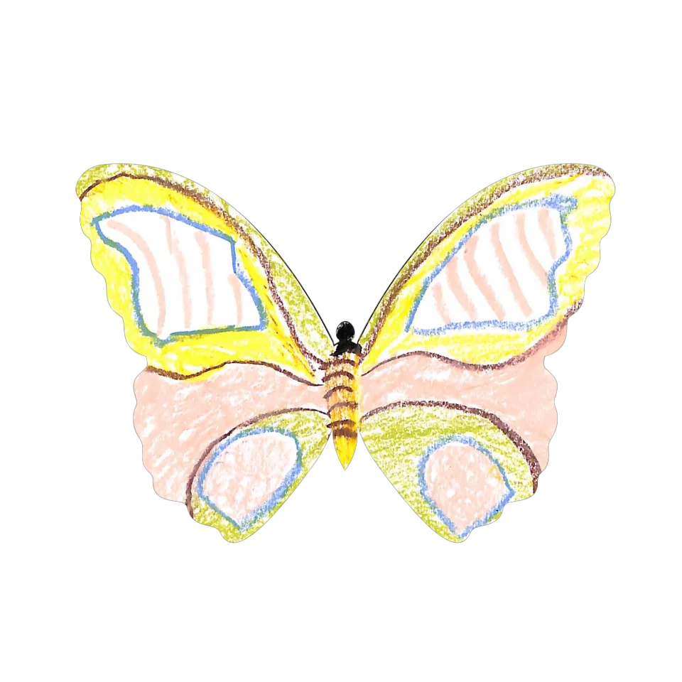 Original Butterfly Image