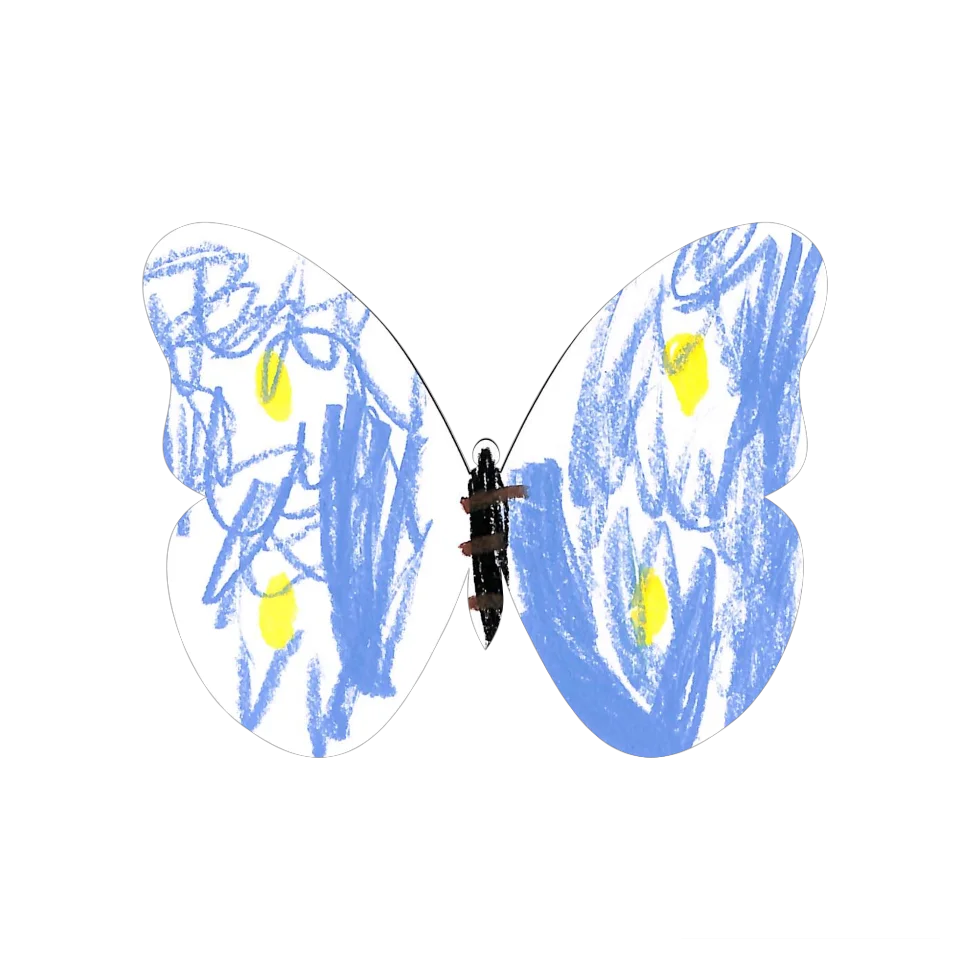 Original Butterfly Image