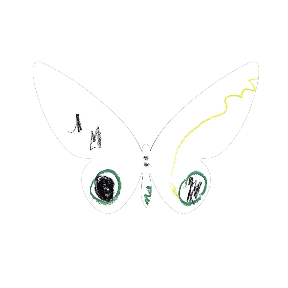 Original Butterfly Image