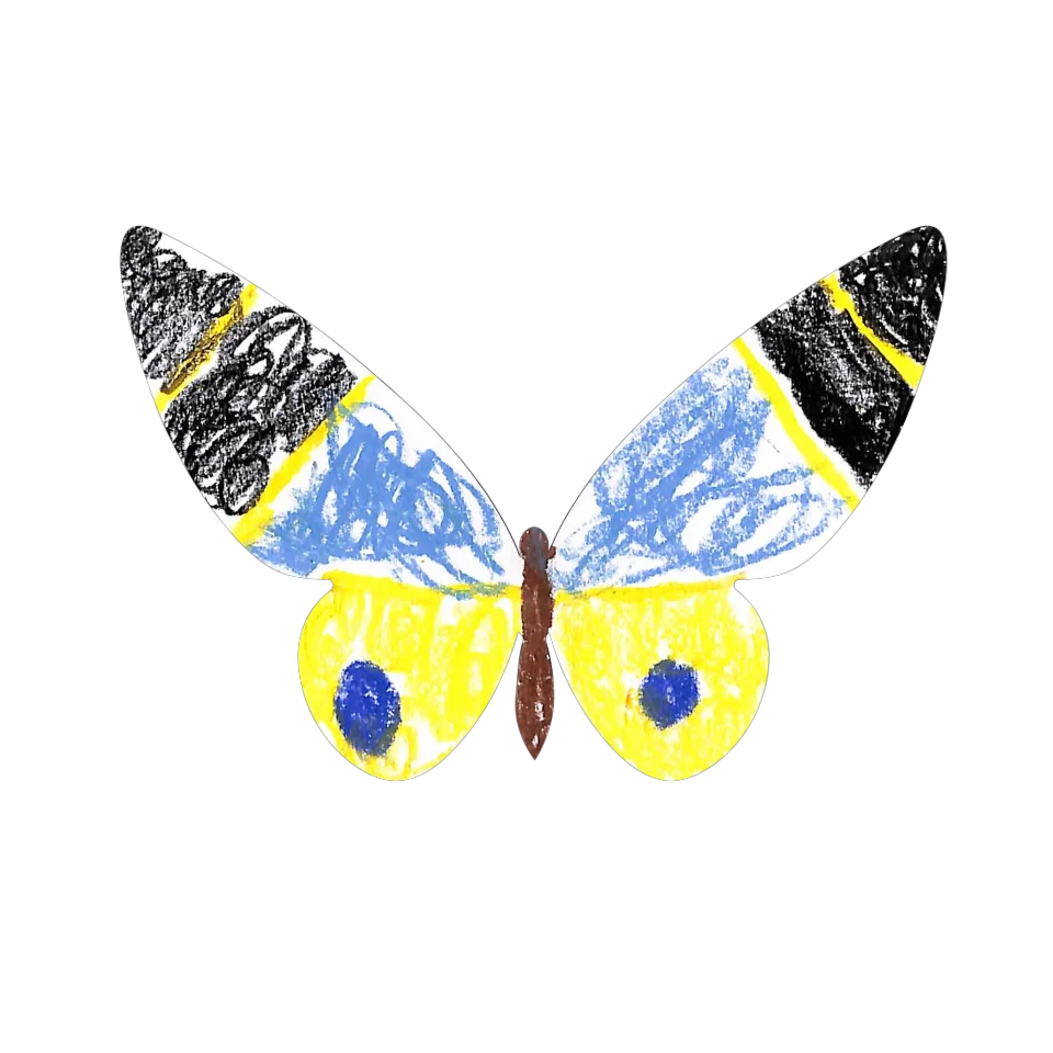 Original Butterfly Image
