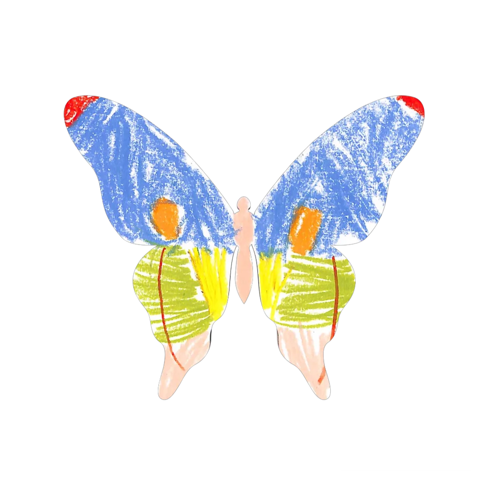 Original Butterfly Image