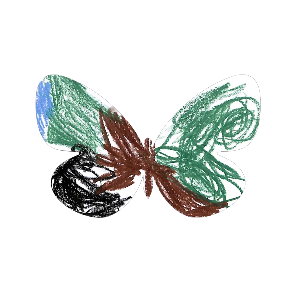 Original Butterfly Image