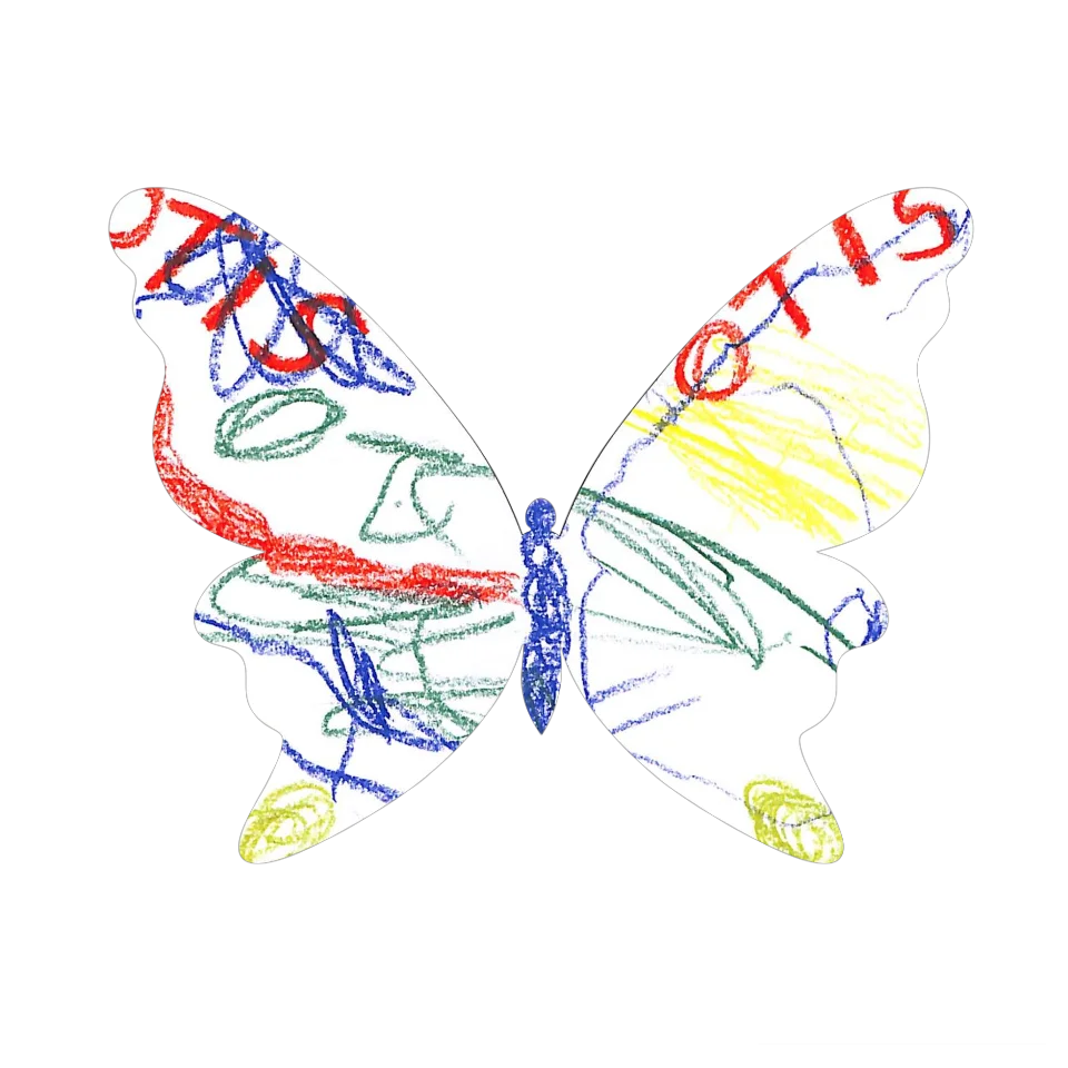 Original Butterfly Image
