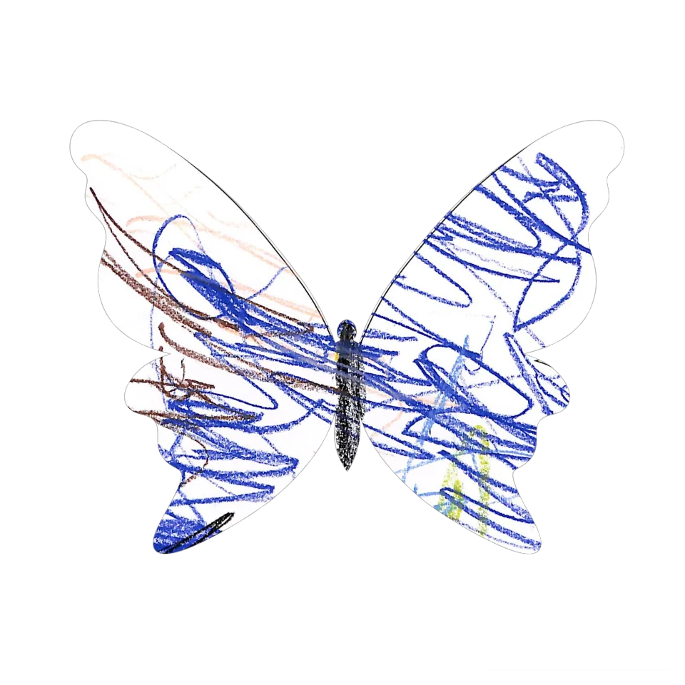Original Butterfly Image