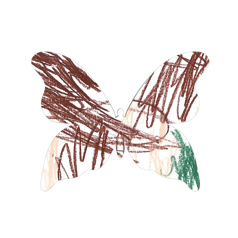 Original Butterfly Image