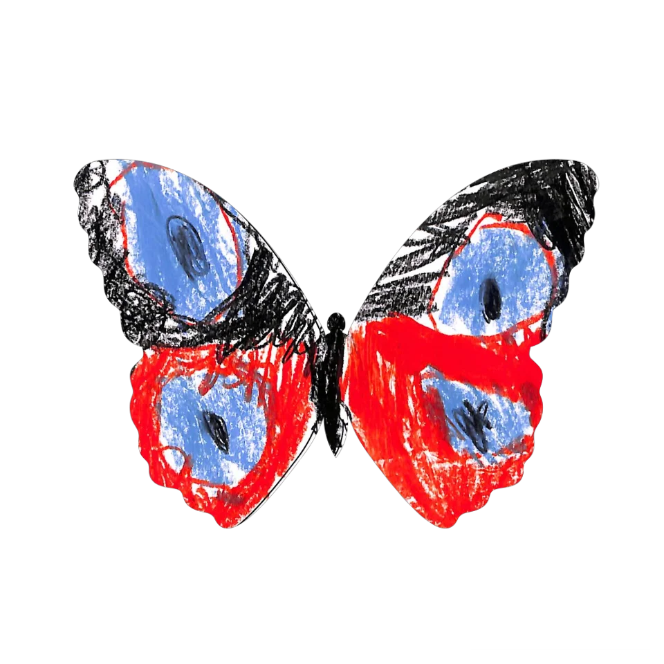 Original Butterfly Image