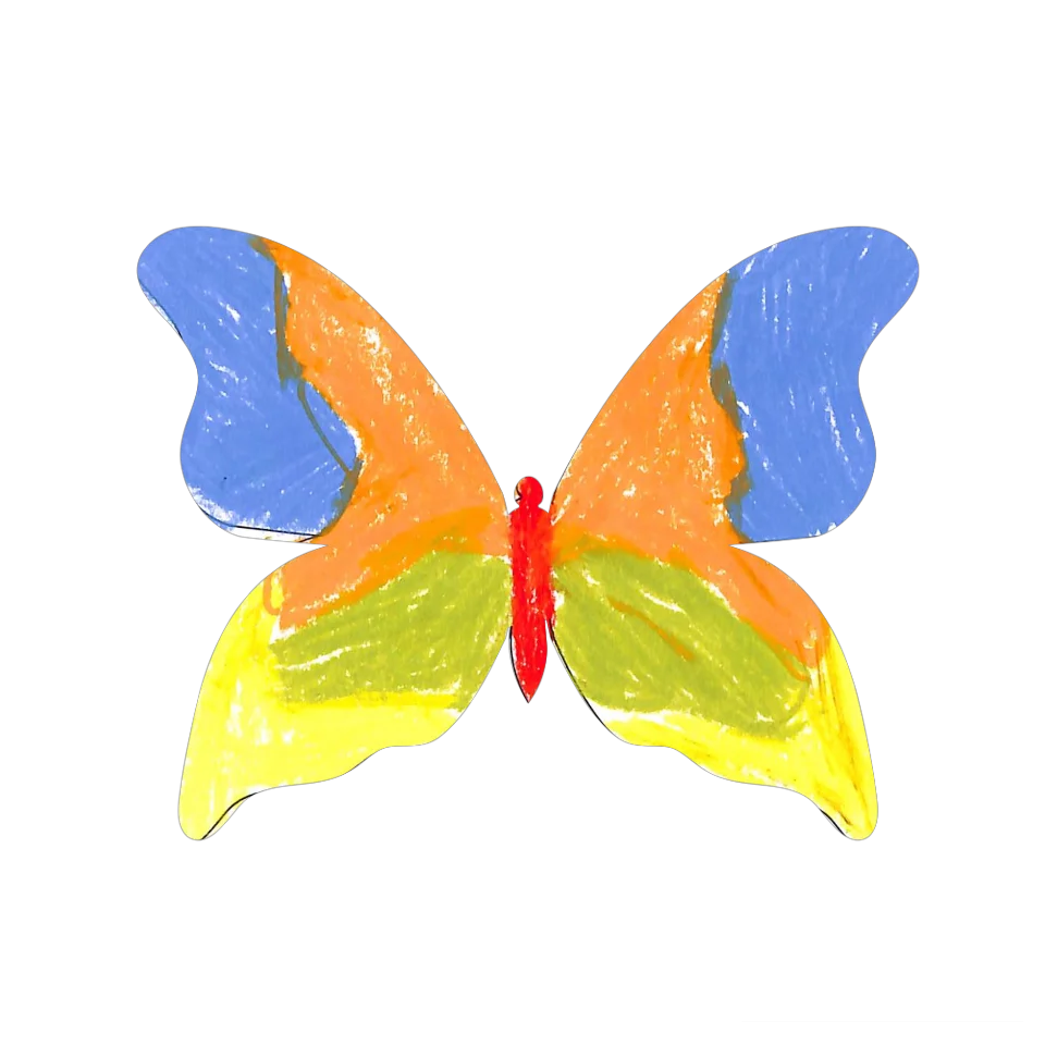 Original Butterfly Image