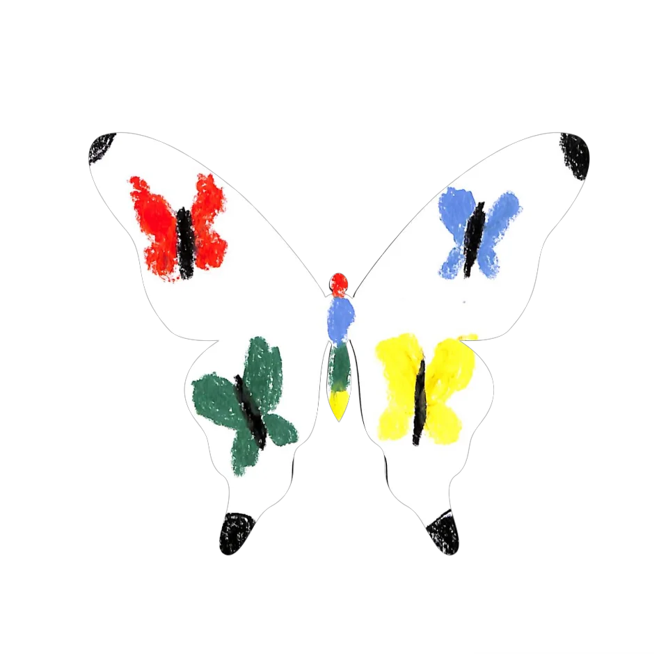 Original Butterfly Image