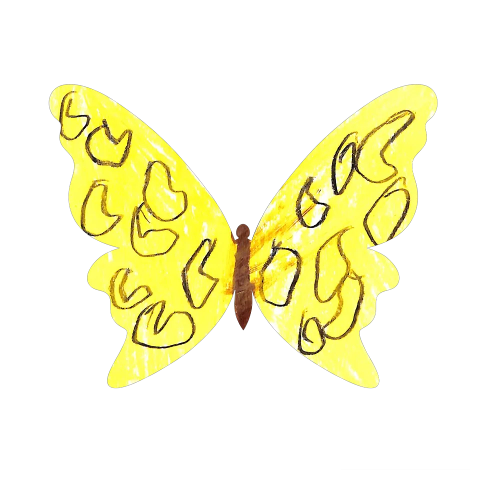 Original Butterfly Image