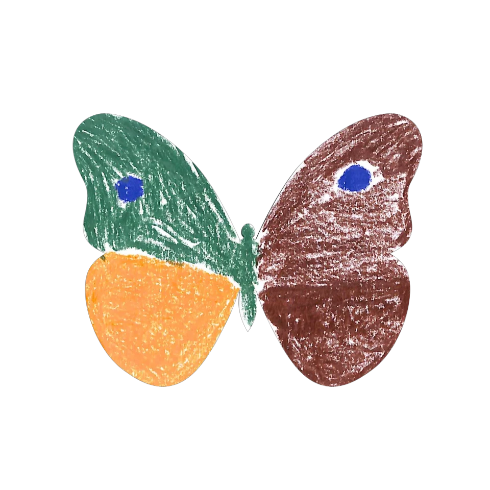 Original Butterfly Image