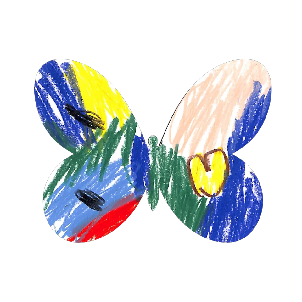 Original Butterfly Image