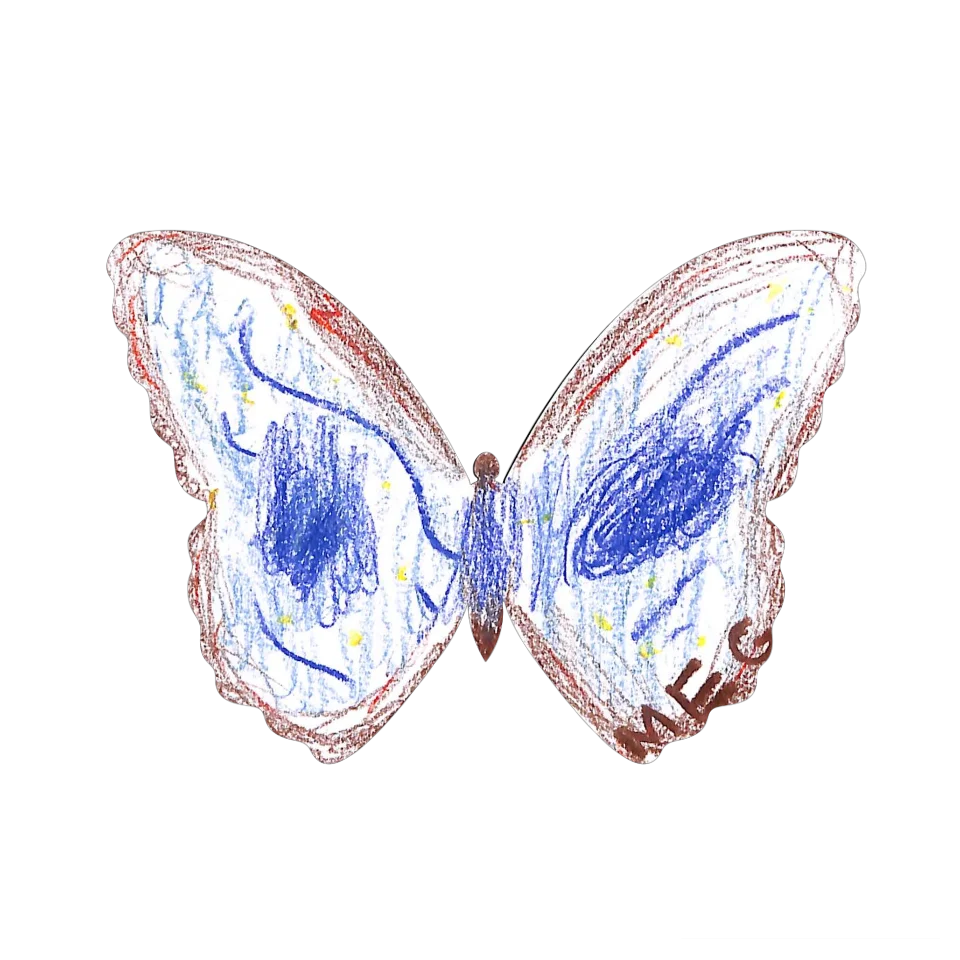 Original Butterfly Image