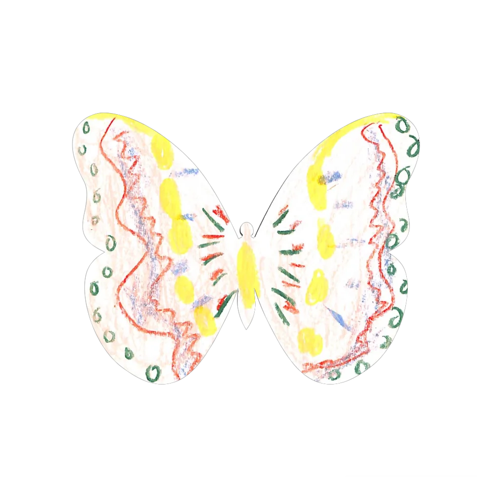 Original Butterfly Image