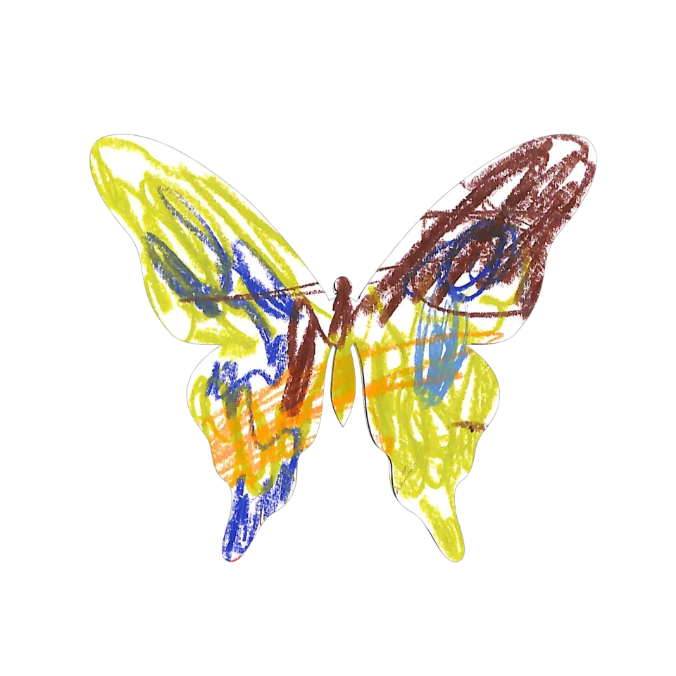 Original Butterfly Image