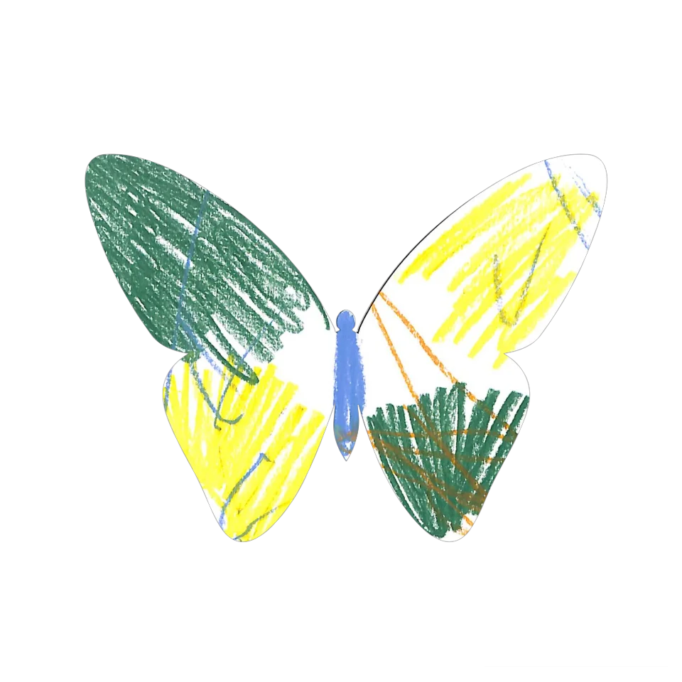 Original Butterfly Image
