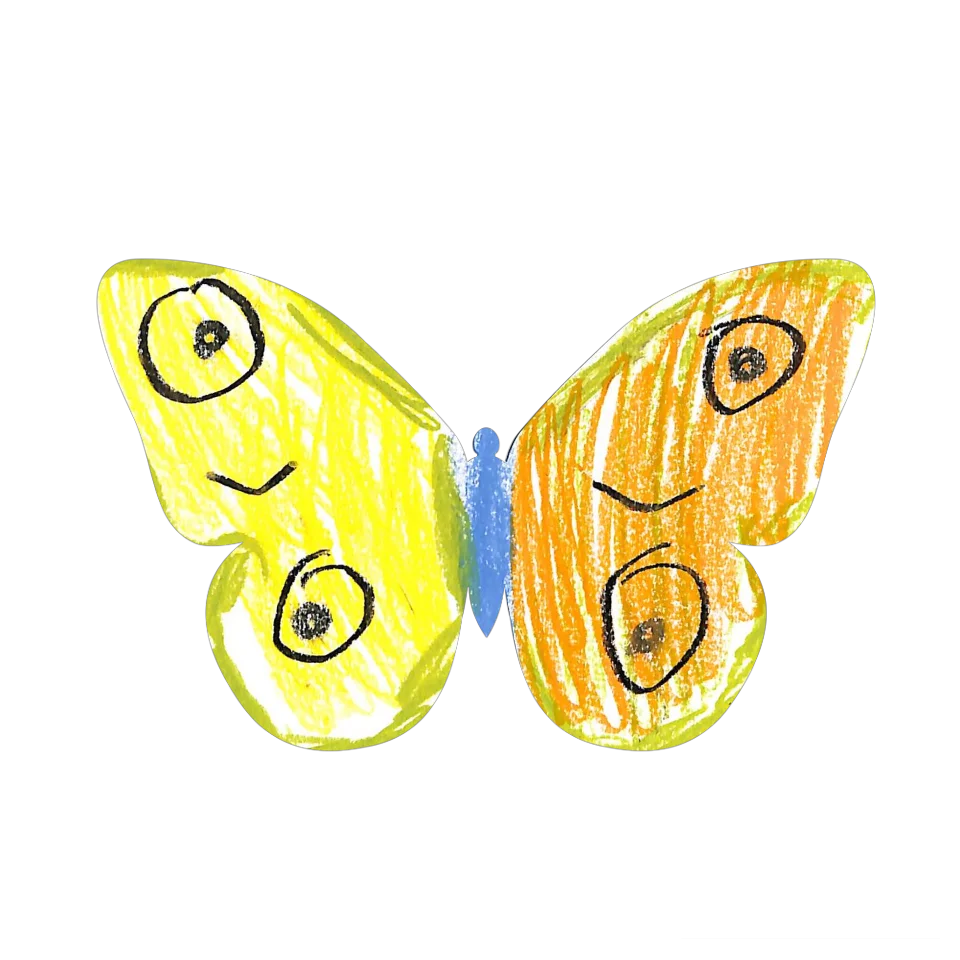 Original Butterfly Image