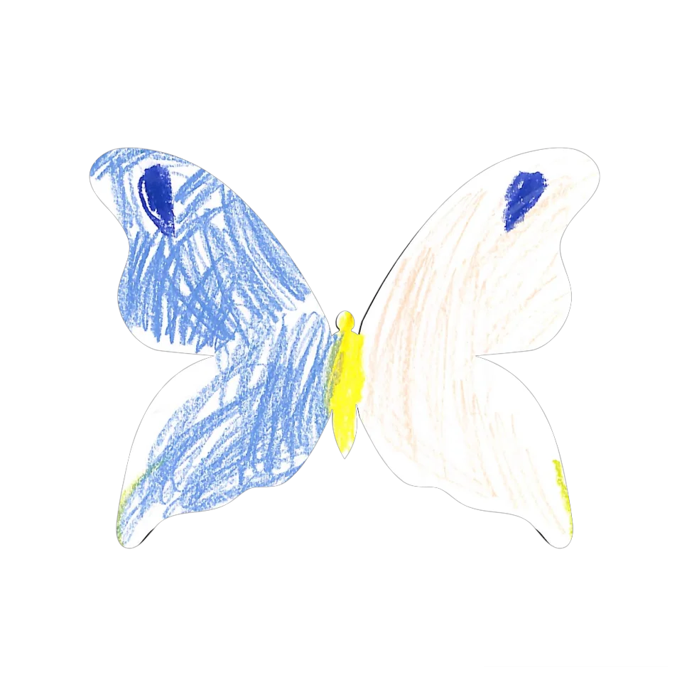 Original Butterfly Image