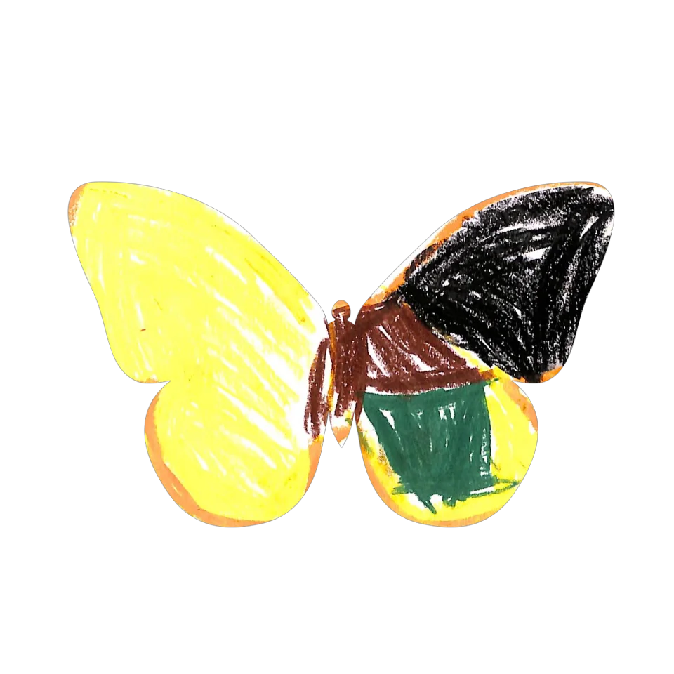 Original Butterfly Image