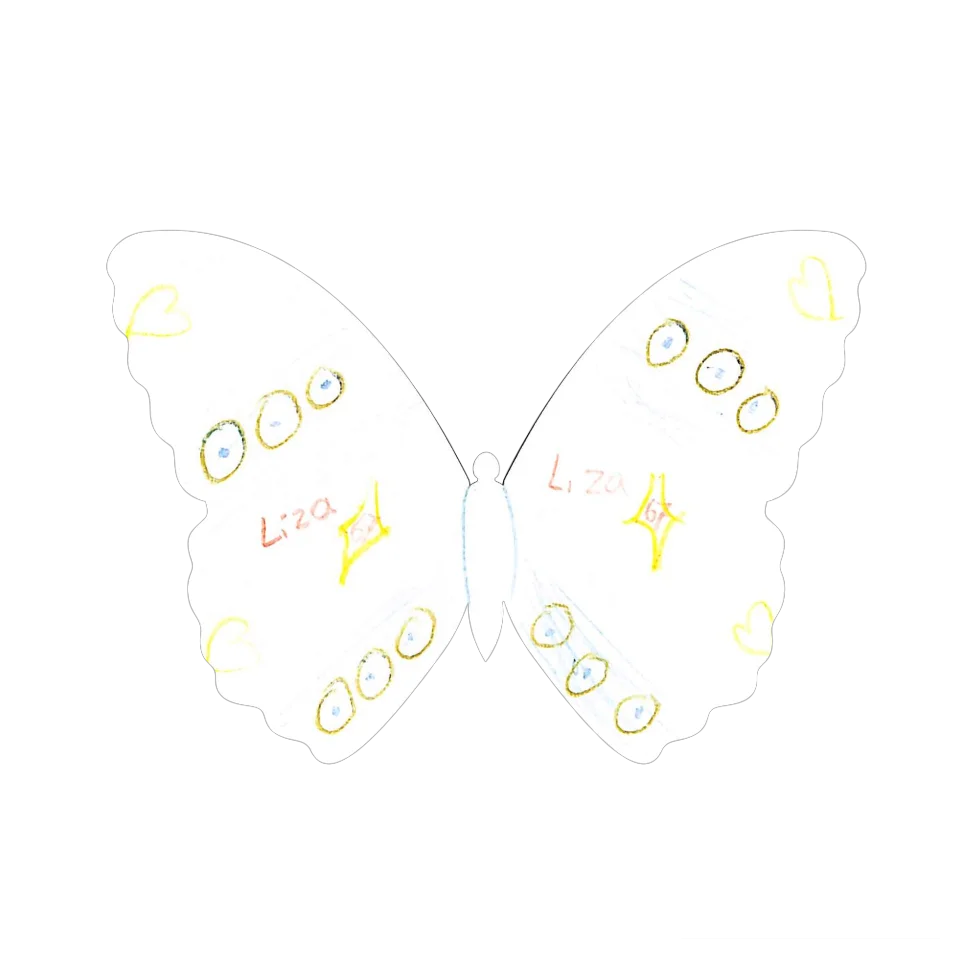 Original Butterfly Image