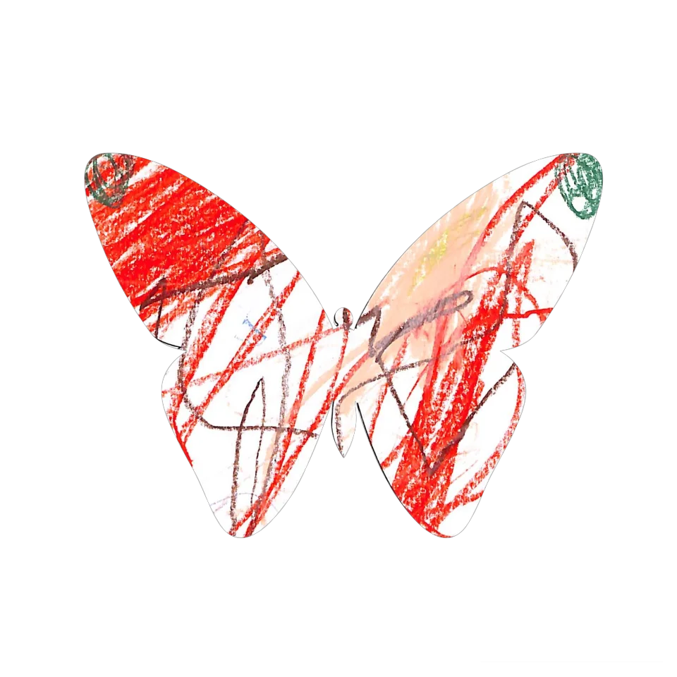 Original Butterfly Image