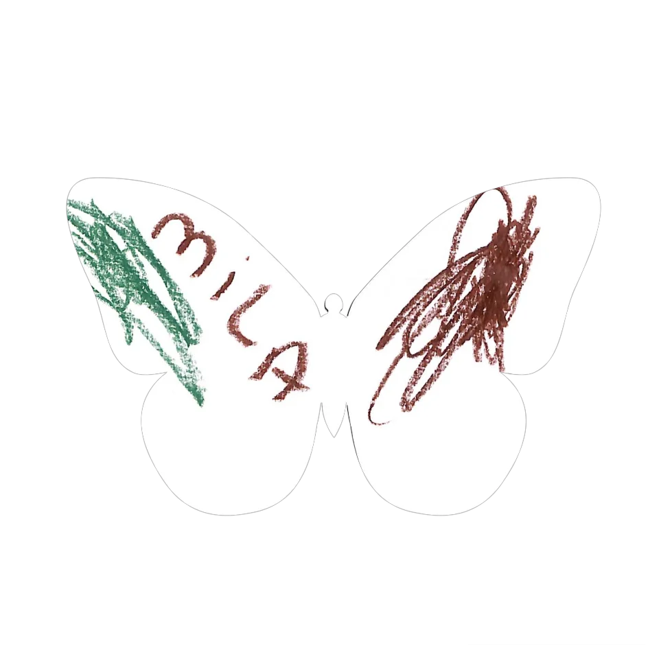 Original Butterfly Image