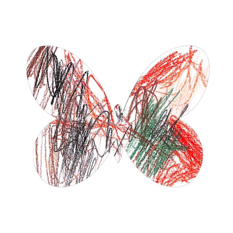 Original Butterfly Image
