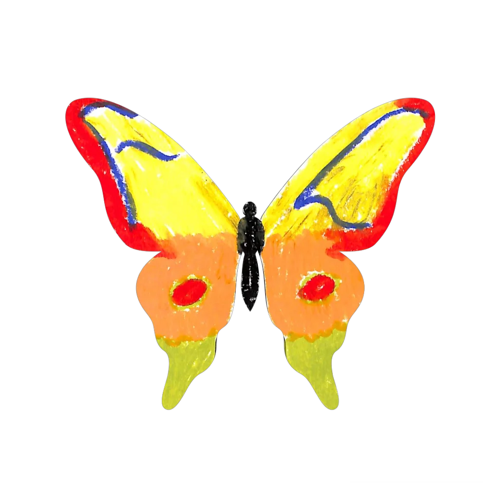 Original Butterfly Image
