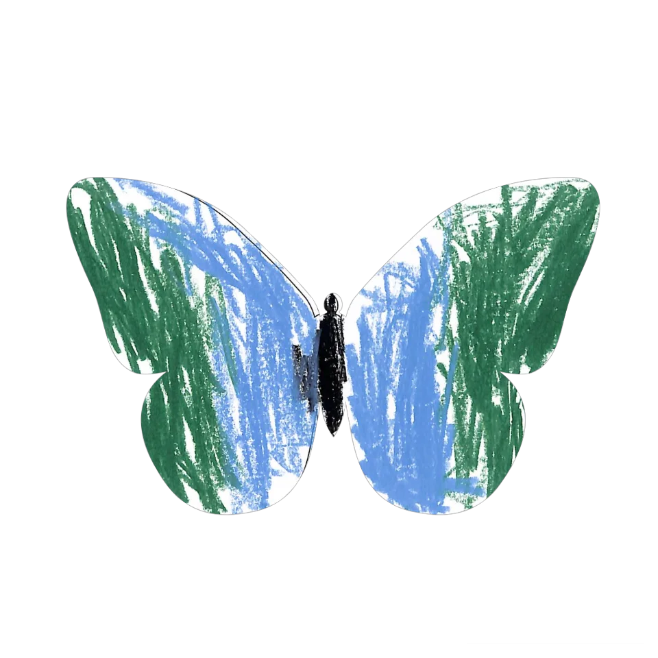 Original Butterfly Image