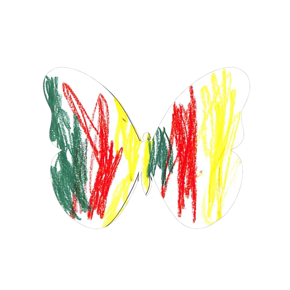 Original Butterfly Image