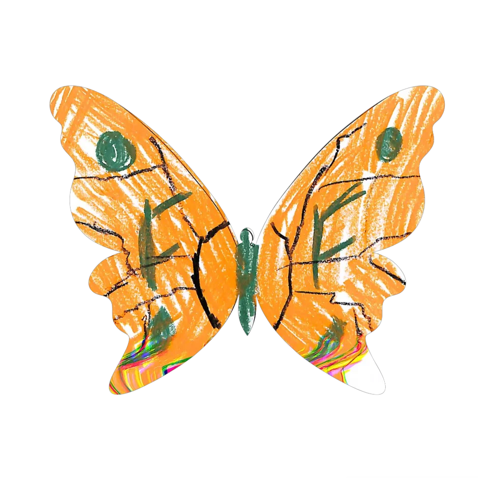 Original Butterfly Image