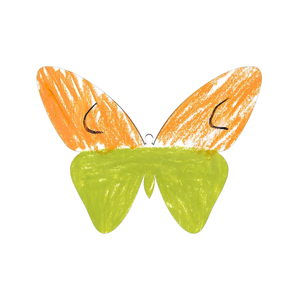 Original Butterfly Image
