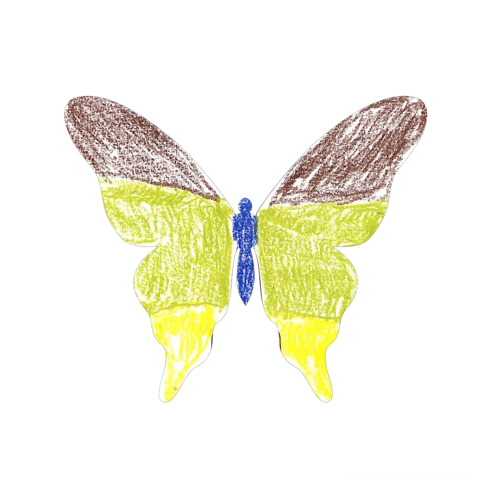 Original Butterfly Image