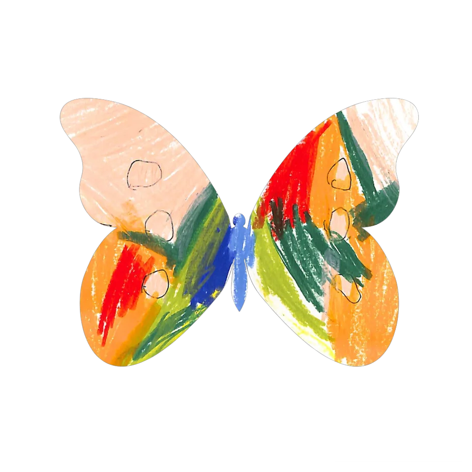 Original Butterfly Image