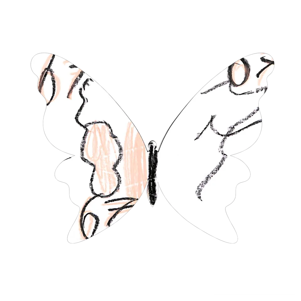 Original Butterfly Image