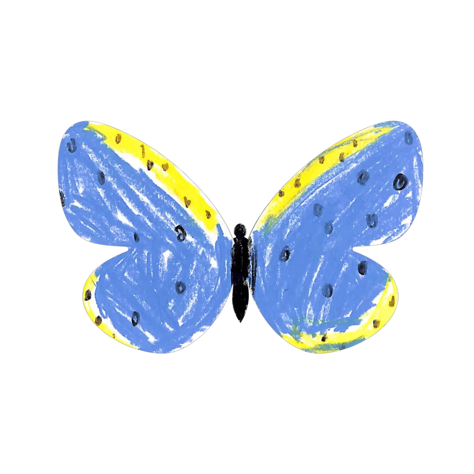 Original Butterfly Image
